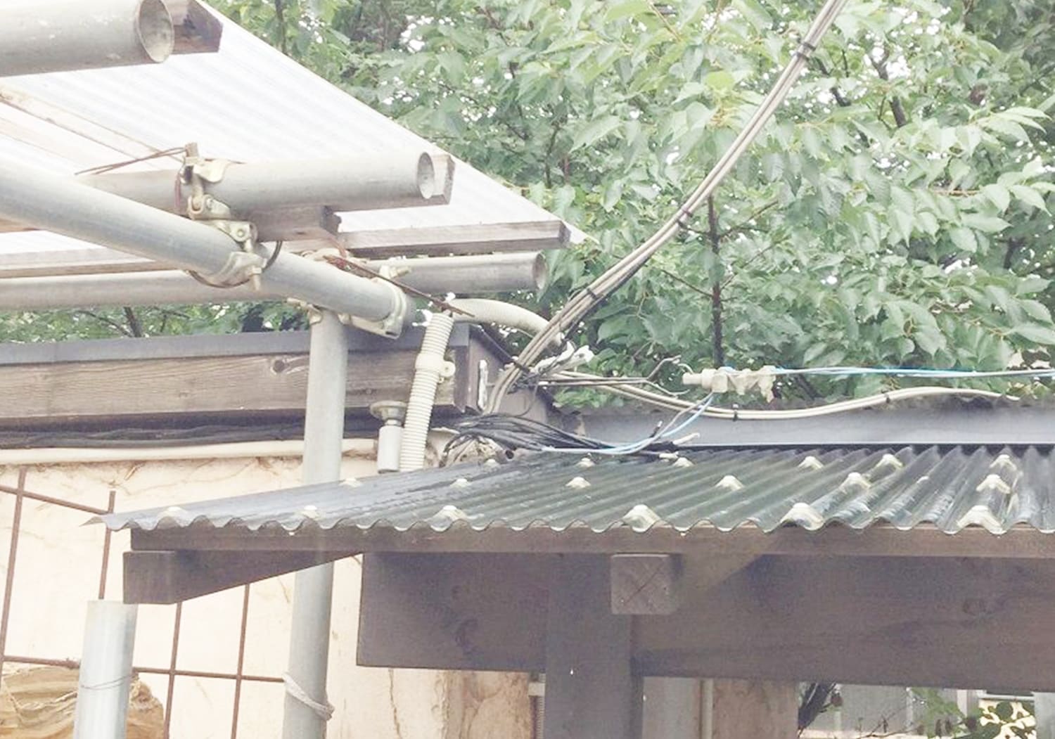 プチ解体のちょっとした話 ~物置撤去について確認したいこと編
